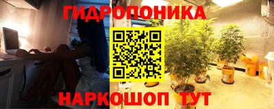 гидропоника Балахна