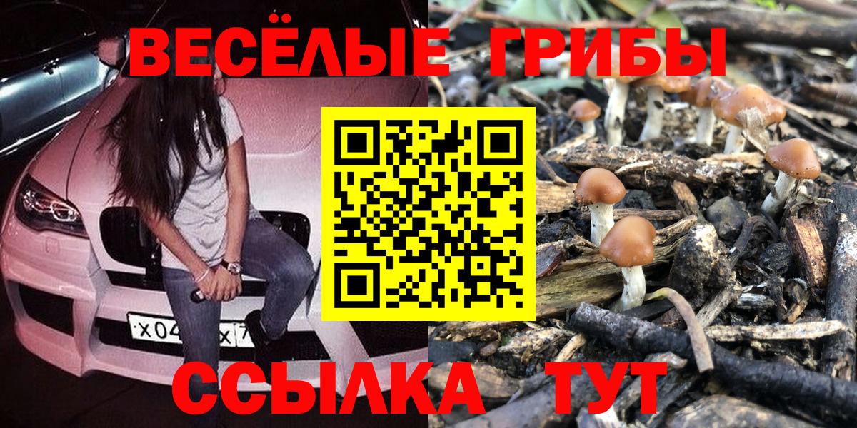 Галлюциногенные грибы мицелий  Галлюциногенные грибы Cubensis  Железноводск  Вход с VPN 